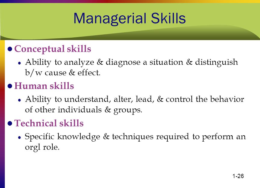 What are Conceptual Skills?